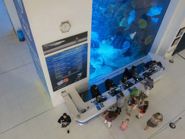 Burj Khalifa + Dubai Aquarium + Fountain Show Dubai