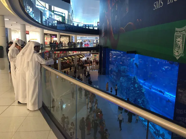 Summer Visit (Jun–Sep) 5 Days UAE itinerary