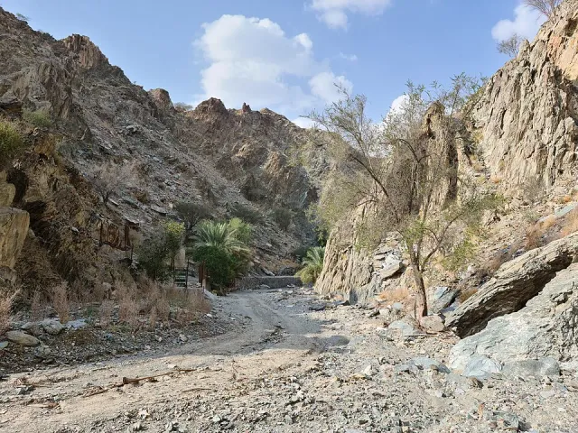 Wadi Tayyibah — remote & wild Fujairah