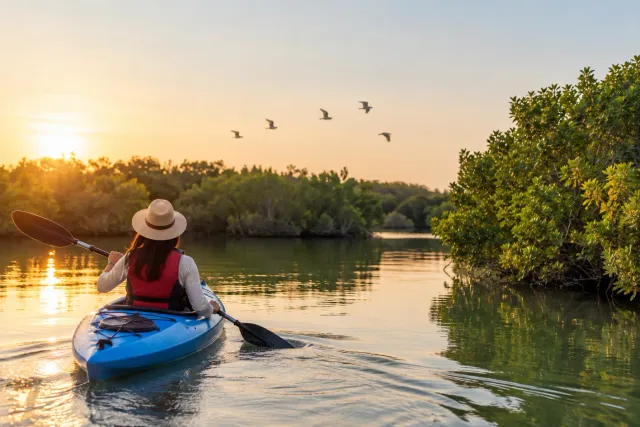 Al Zorah Nature Reserve