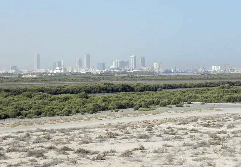 Umm Al Quwain Travel Guide