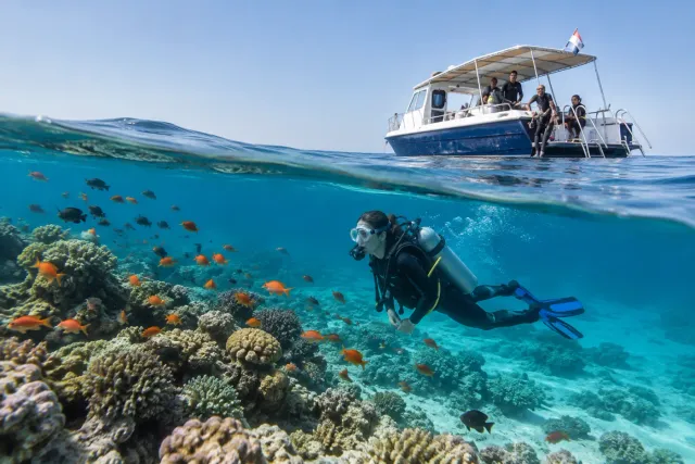 Dubai Diving & Snorkeling