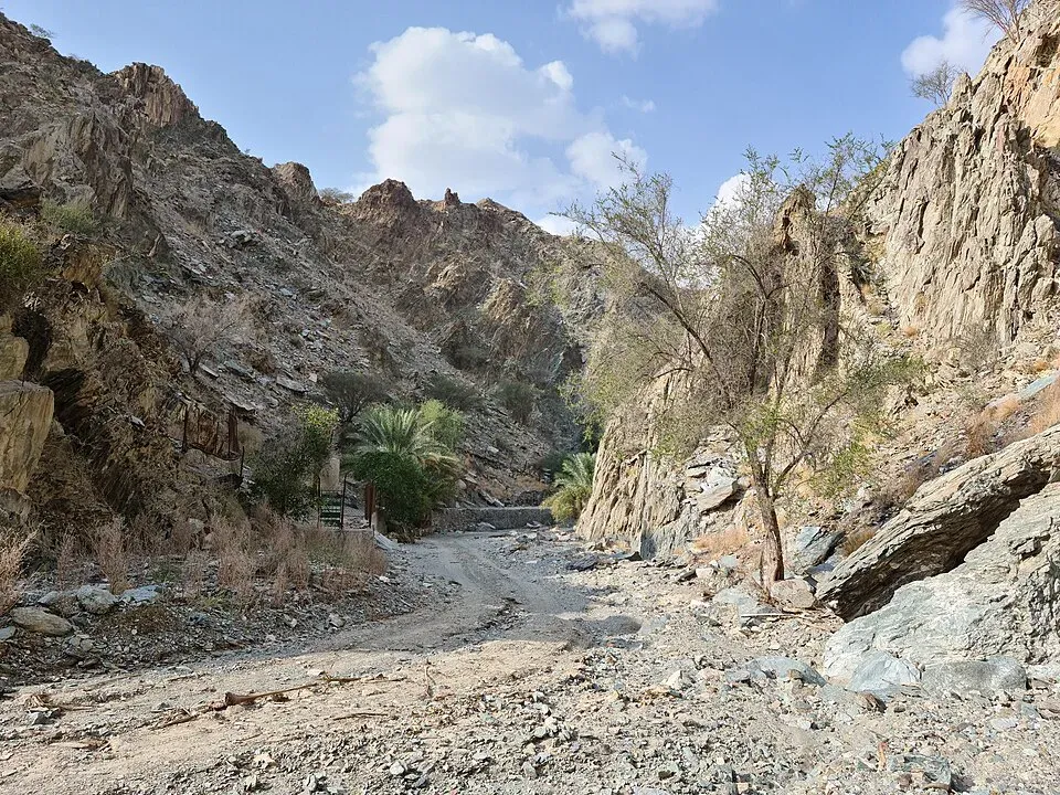 Wadi Tayyibah Fujairah