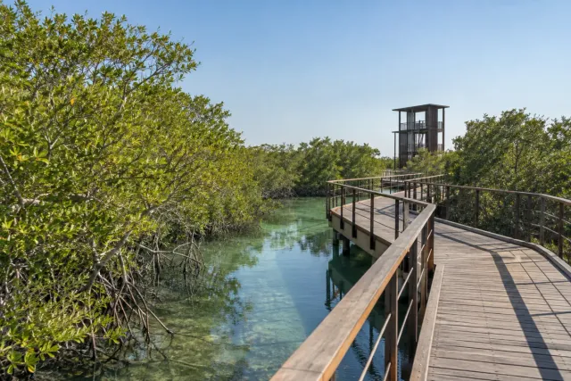 Jubail Mangrove Park