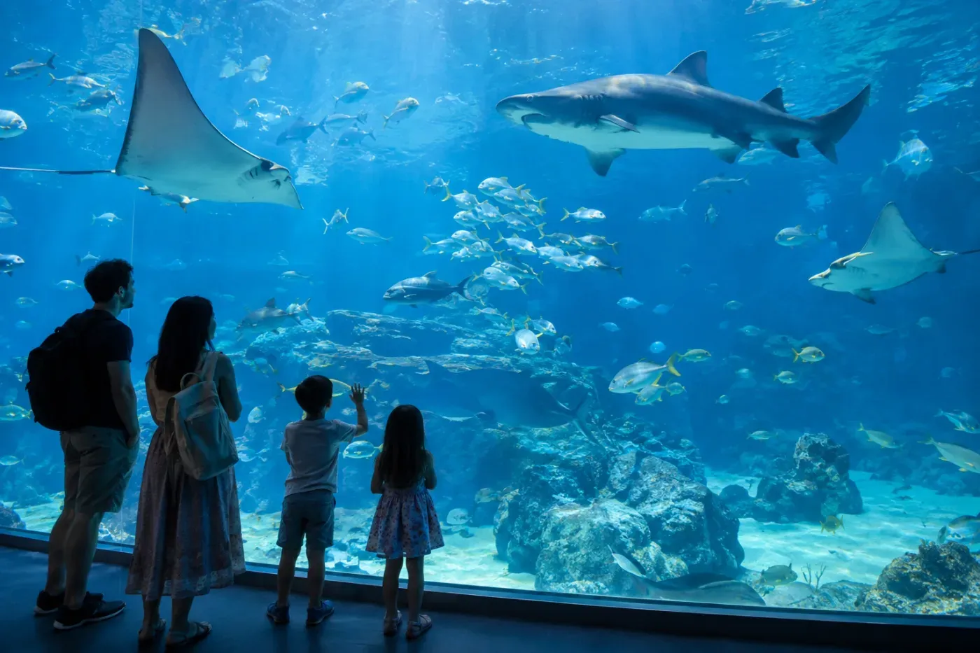National Aquarium