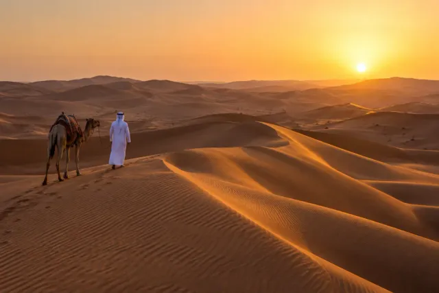 Qasr Al Sarab Desert Area