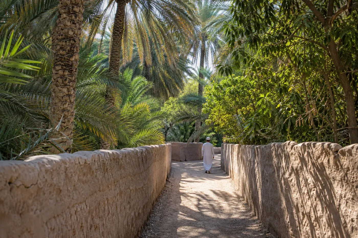 Al Ain Oasis